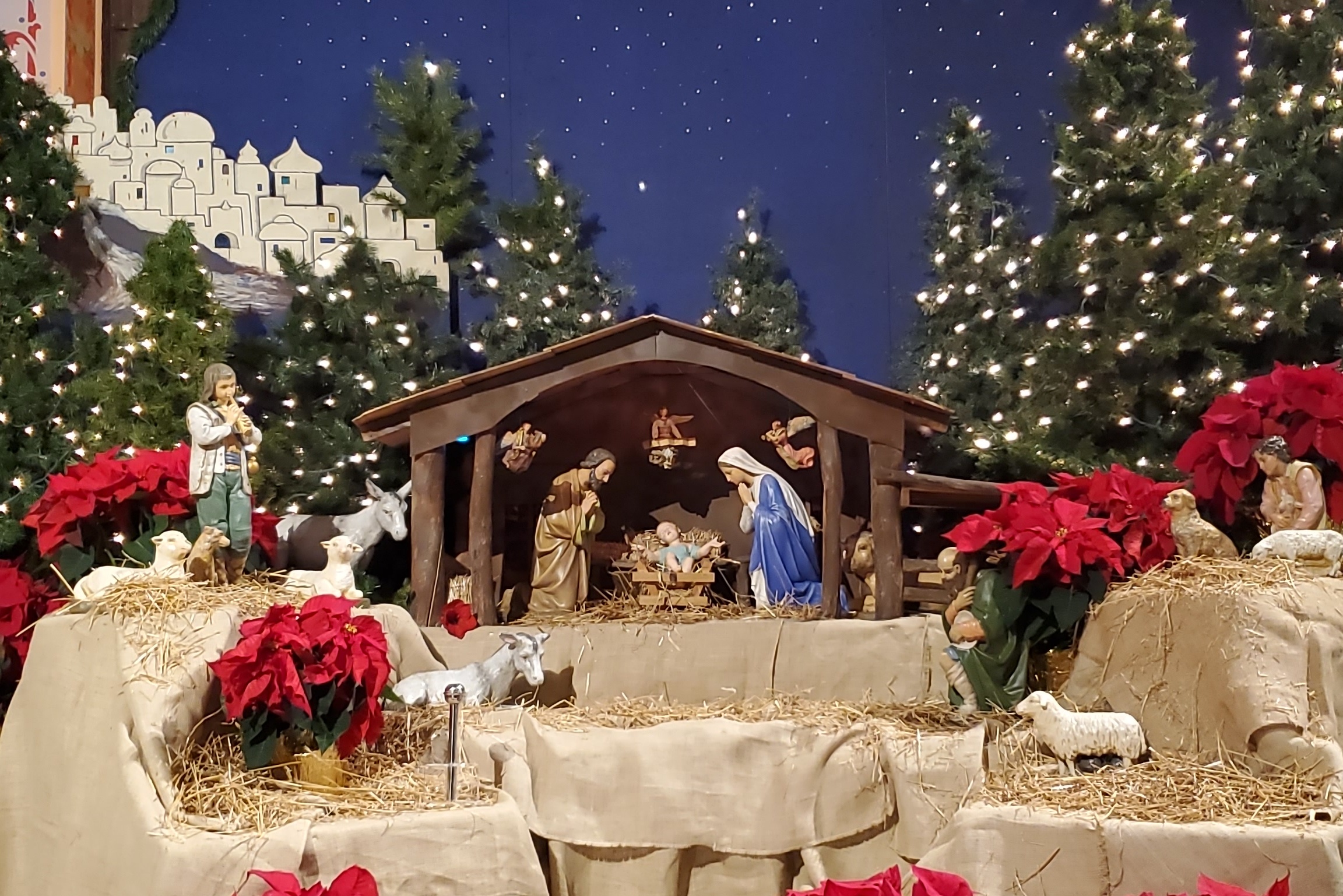 <div><div class="caption">
Holiday Mass Schedule
</div><div className="subcaption">
<a href="holidayschedule.jpg" target="_blank">View</a>
</div></div>